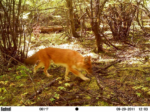 电子游戏app下载安装