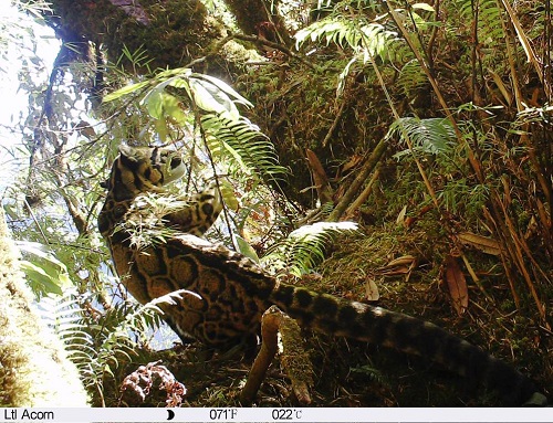 电子游戏app下载安装