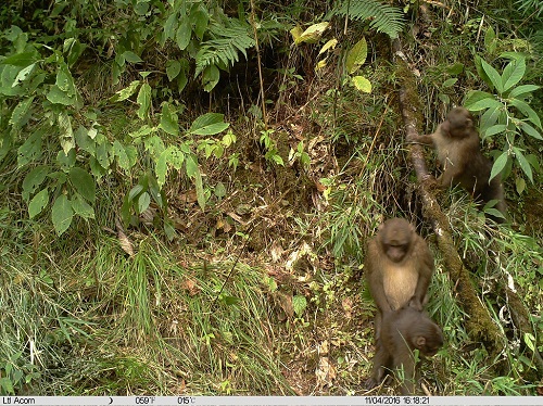 电子游戏app下载安装