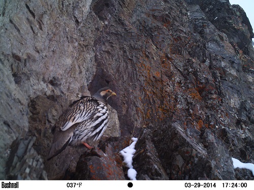 电子游戏app下载安装