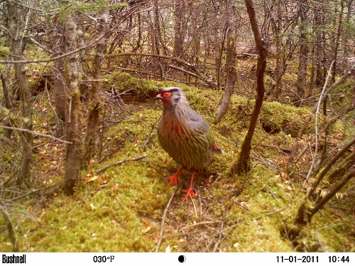 电子游戏app下载安装