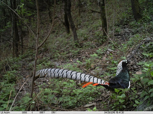 电子游戏app下载安装