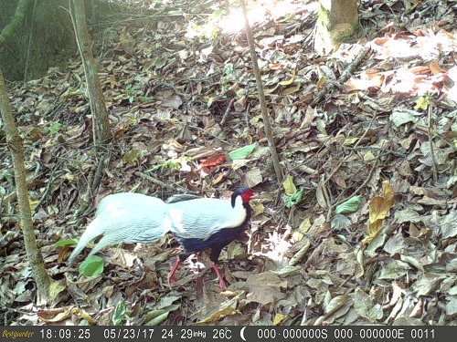 电子游戏app下载安装
