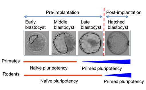 电子游戏app下载安装