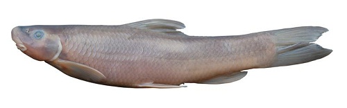 电子游戏app下载安装