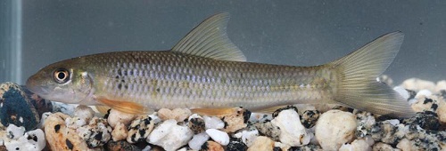 电子游戏app下载安装