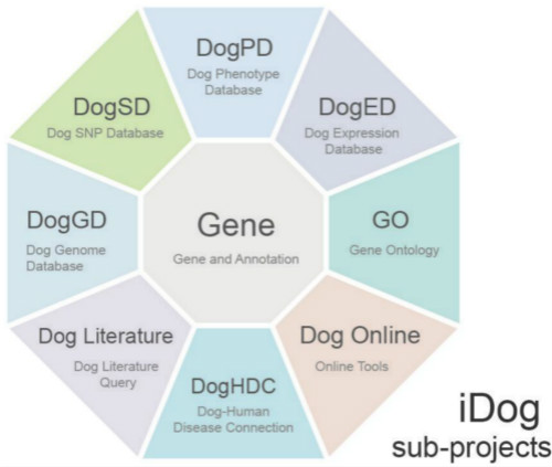 电子游戏app下载安装