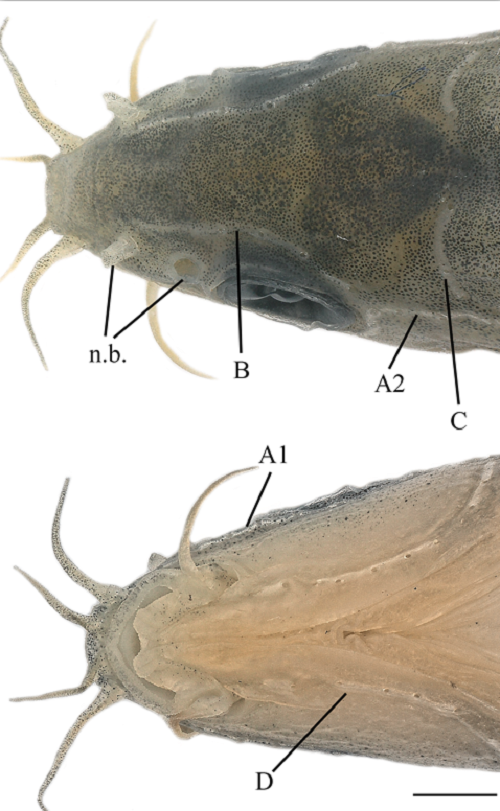 电子游戏app下载安装