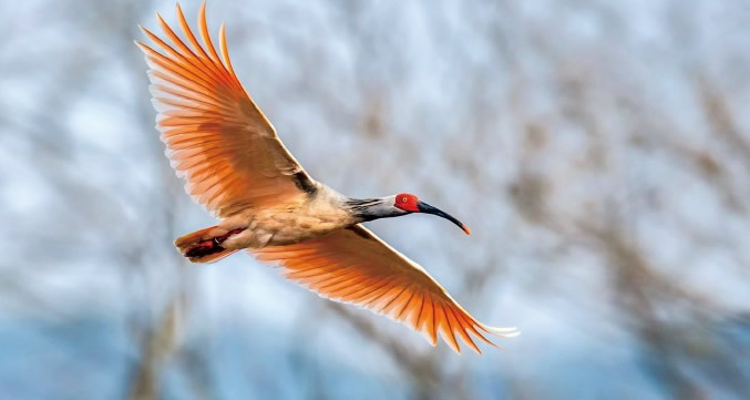 电子游戏app下载安装