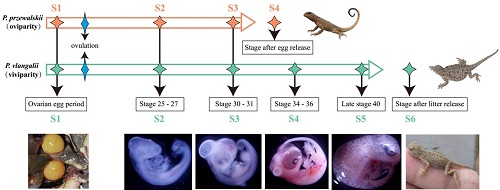 电子游戏app下载安装
