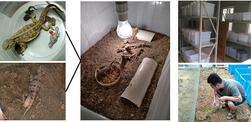 电子游戏app下载安装