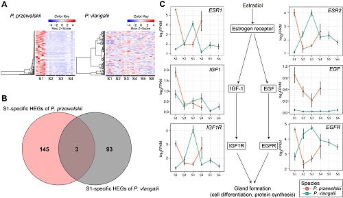 电子游戏app下载安装