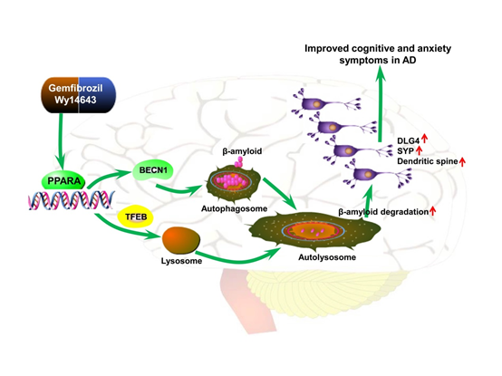 电子游戏app下载安装