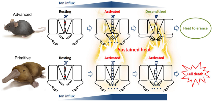 电子游戏app下载安装