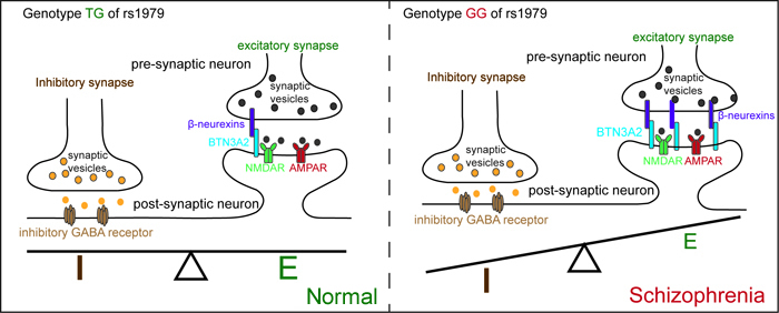 电子游戏app下载安装