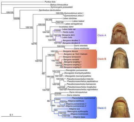 电子游戏app下载安装