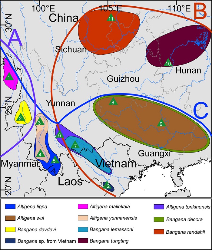 电子游戏app下载安装