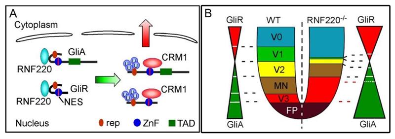 电子游戏app下载安装