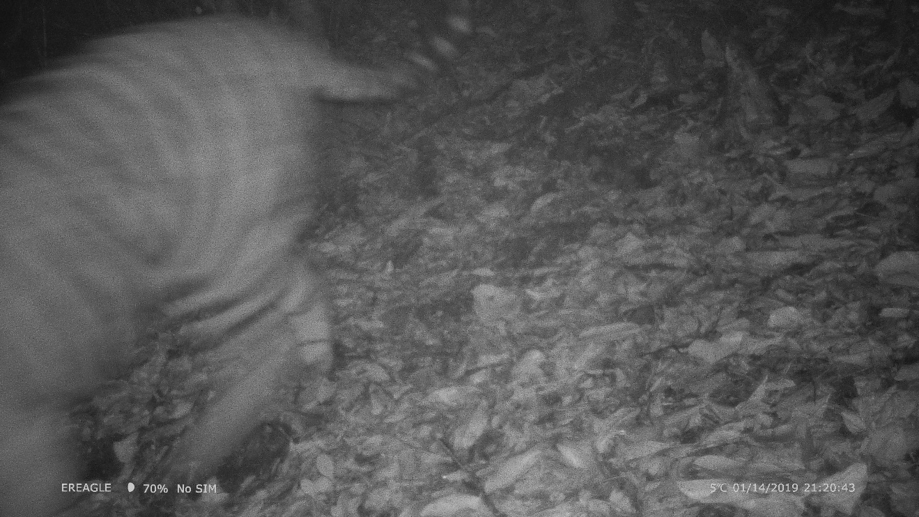 电子游戏app下载安装