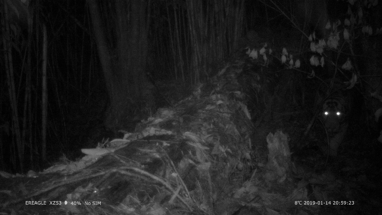 电子游戏app下载安装