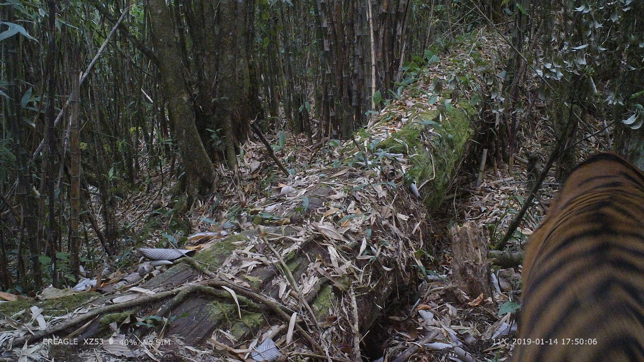 电子游戏app下载安装