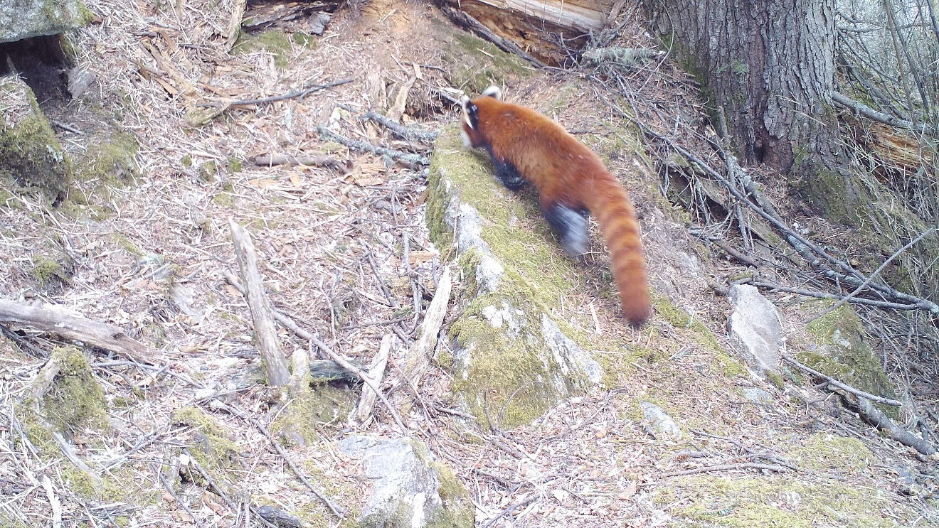 电子游戏app下载安装