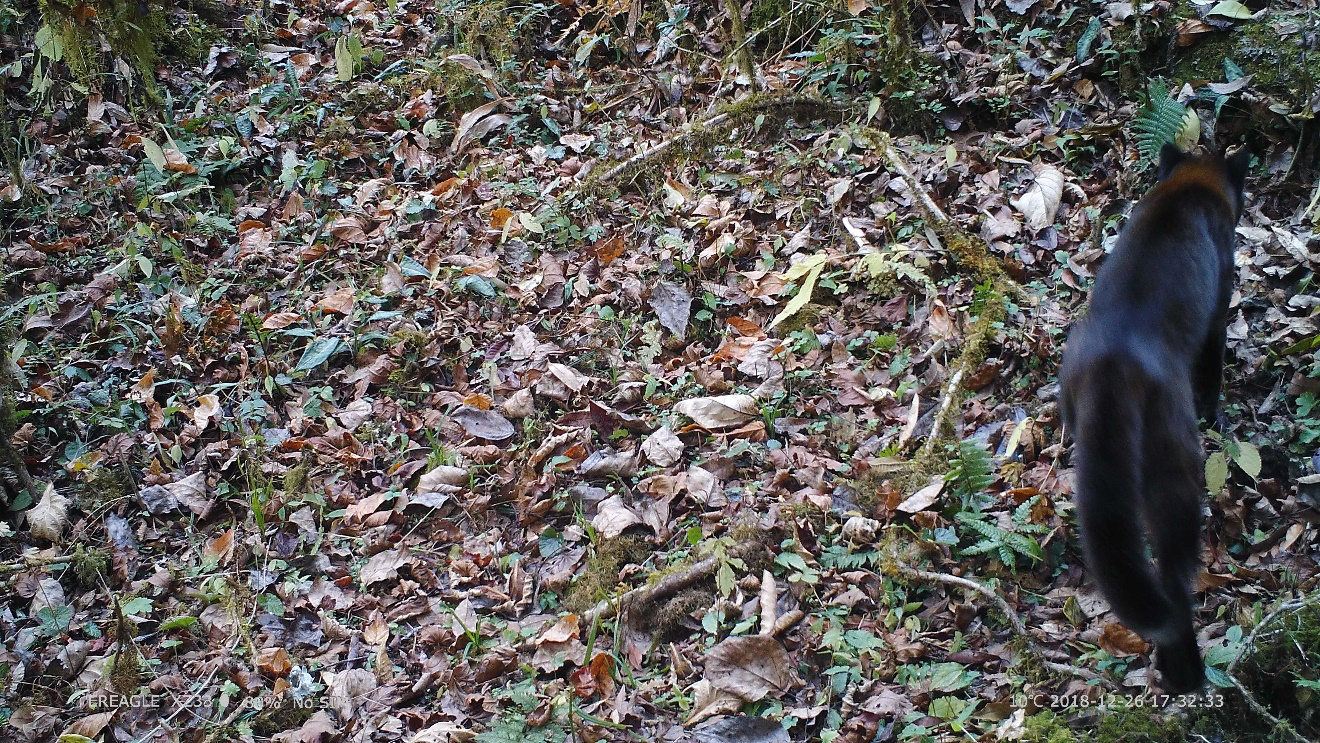 电子游戏app下载安装