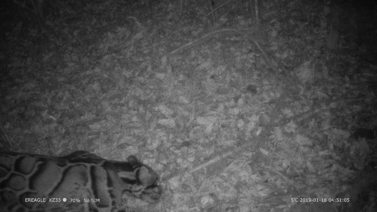 电子游戏app下载安装