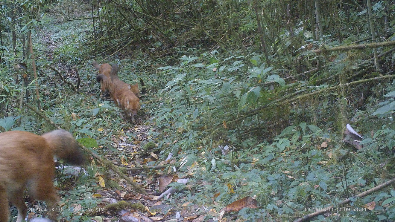 电子游戏app下载安装