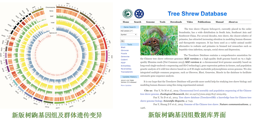 电子游戏app下载安装