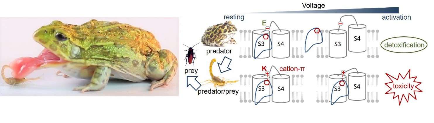 电子游戏app下载安装
