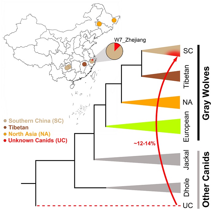 电子游戏app下载安装