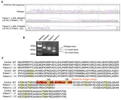 电子游戏app下载安装