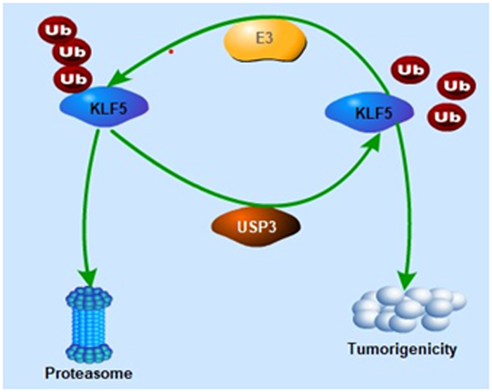 电子游戏app下载安装