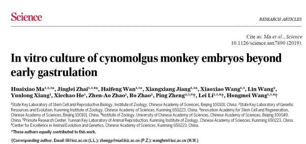 电子游戏app下载安装