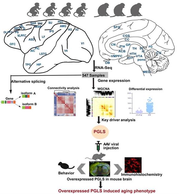 电子游戏app下载安装