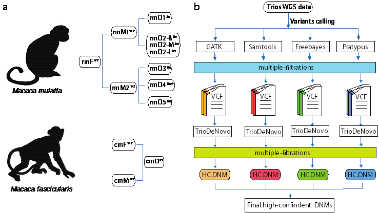 电子游戏app下载安装