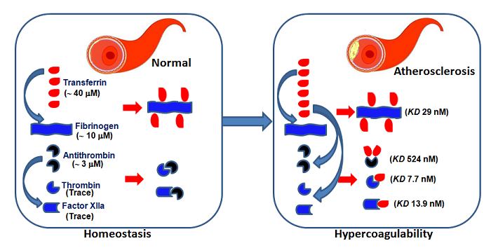 电子游戏app下载安装