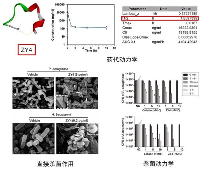 电子游戏app下载安装