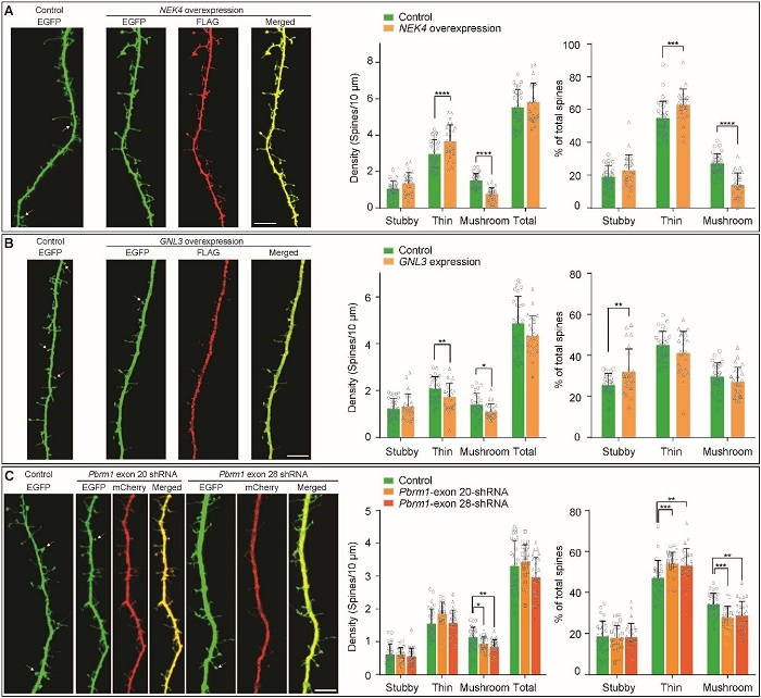 电子游戏app下载安装