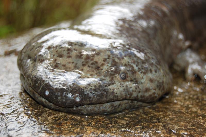 电子游戏app下载安装