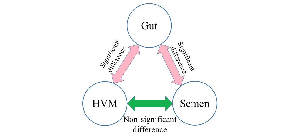 电子游戏app下载安装