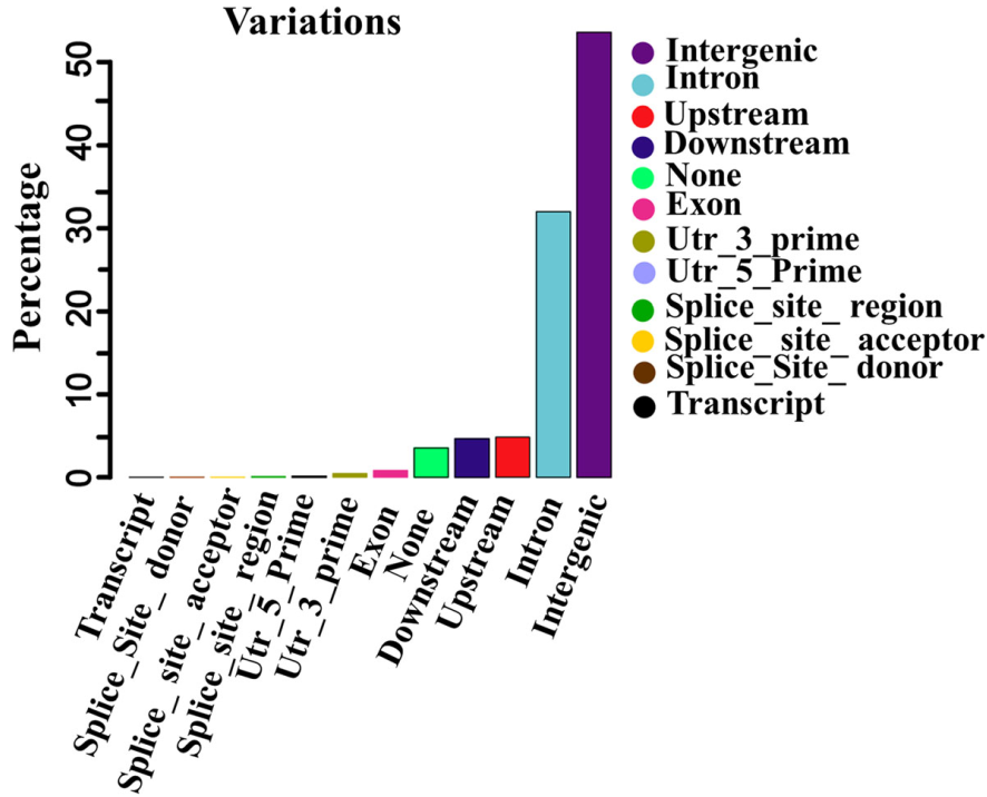 电子游戏app下载安装