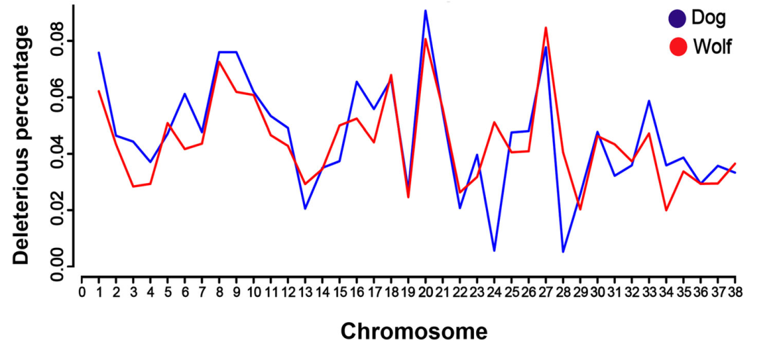 电子游戏app下载安装