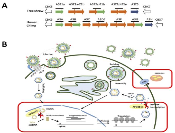 电子游戏app下载安装