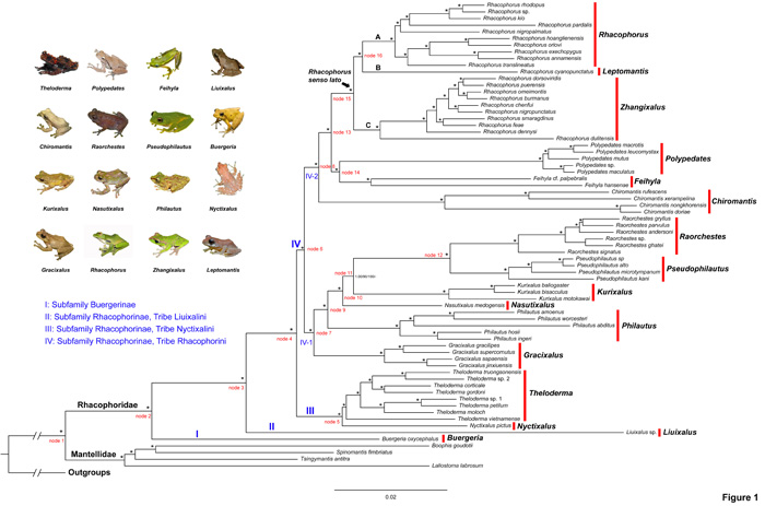 电子游戏app下载安装