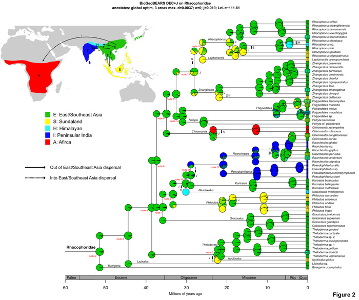 电子游戏app下载安装