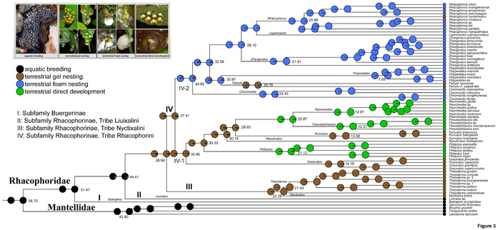 电子游戏app下载安装