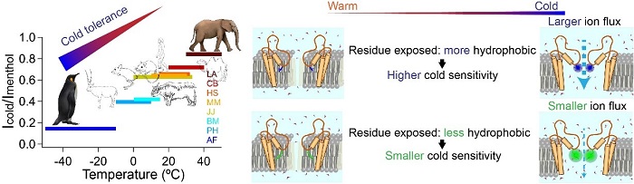 电子游戏app下载安装