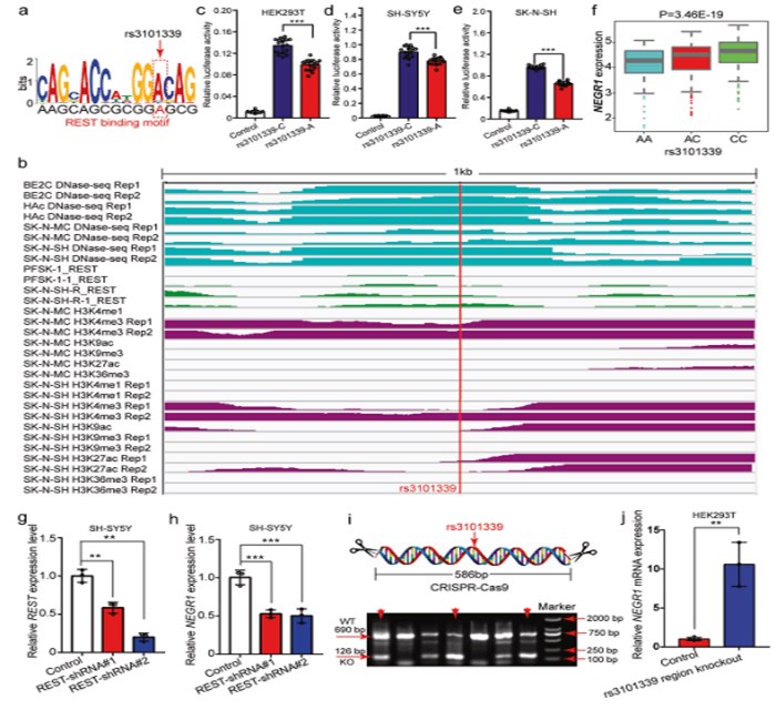 电子游戏app下载安装